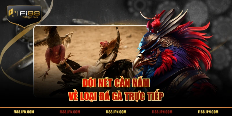 Đôi nét cần nắm về loại đá gà trực tiếp
