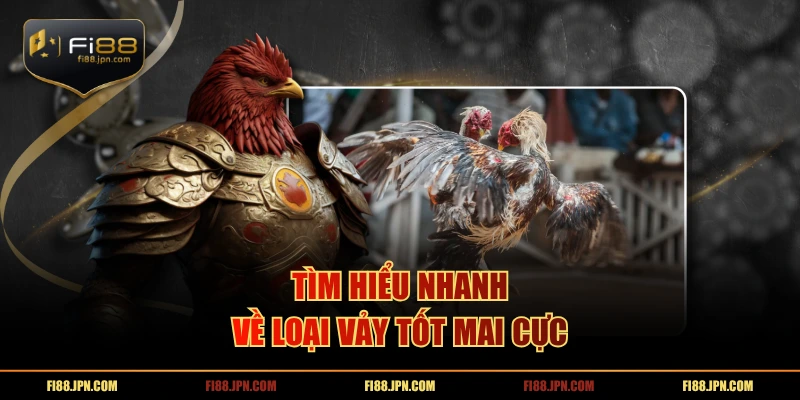 Tìm hiểu nhanh về loại vảy tốt Mai cực